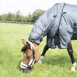 Chemise Anti-mouche équitation Cheval Et Poney - Confort Grise Asphalte 9 Chemise Anti-mouche équitation Cheval Et Poney - Confort Grise Asphalte -Plein Air Équipement Magasin chemise anti mouche equitation cheval et poney confort grise asphalte 2