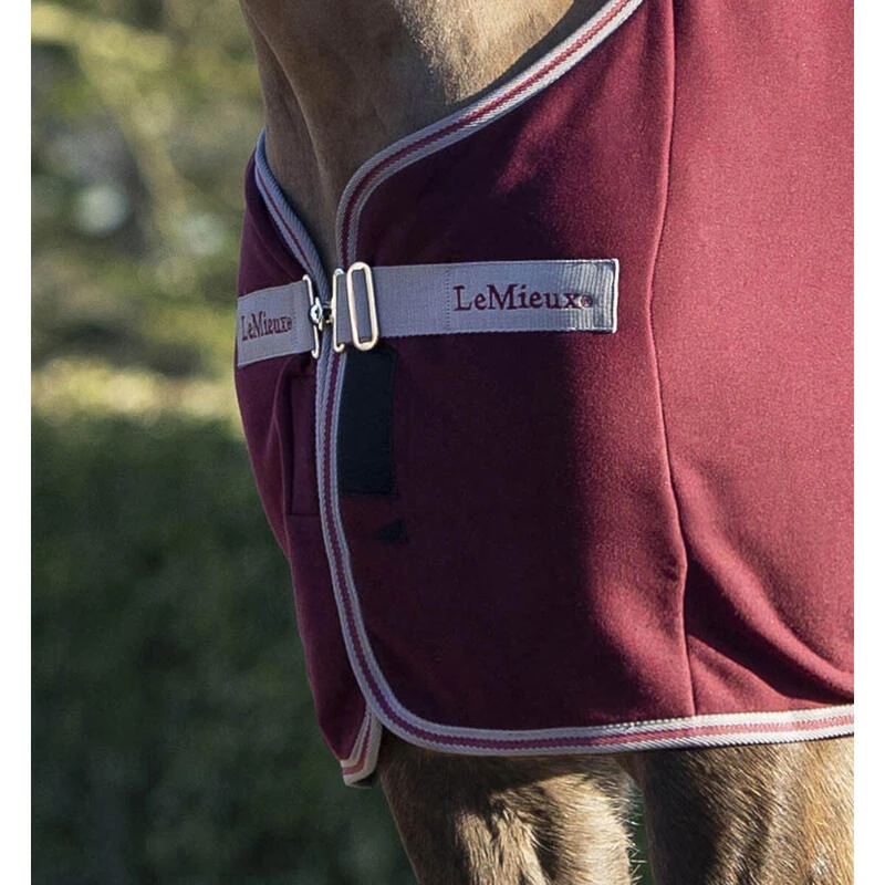 Chemise Séchante Arika Jersey-Tek LeMieux Rouge Foncé 4 Chemise Séchante Arika Jersey-Tek LeMieux Rouge Foncé – Image 2