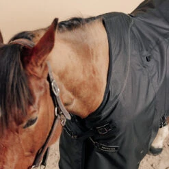 Couverture équitation Imperméable 1200D Cheval Et Poney - Allweather Combo Noir -Plein Air Équipement Magasin couverture equitation impermeable 1200d cheval et poney allweather combo noir 2