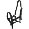 Licol Pour Poulain Foal Horsegear Noir -Plein Air Équipement Magasin licol pour poulain foal horsegear noir