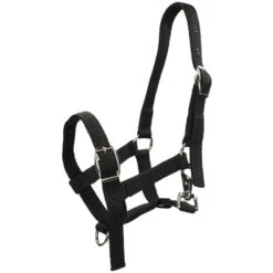 Licol Pour Poulain Foal Horsegear Noir