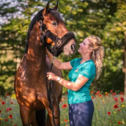 Licol Suave Horsegear Noir -Plein Air Équipement Magasin licol suave horsegear noir 3