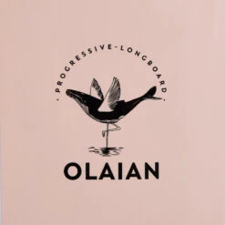 LONGBOARD 900 9'4" 74 L . Livré Avec 1 Aileron 10". -Plein Air Équipement Magasin longboard 900 94 74 l livre avec 1 aileron 10 6