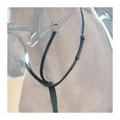 Martingale En Cuir à Anneaux Kavalkade -Plein Air Équipement Magasin martingale en cuir a anneaux kavalkade 3