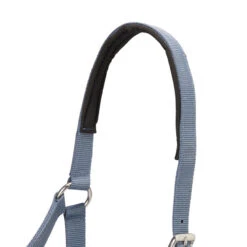 Pack Licol Et Longe équitation Cheval - Nubuc Bleu-gris -Plein Air Équipement Magasin pack licol et longe equitation cheval nubuc bleu gris 6