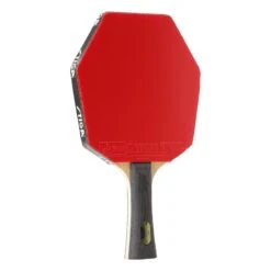 Stiga Raquette De Tennis De Table Cybershape Wood CWT - DNA Dragon Grip 2.3