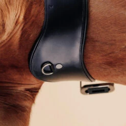 Sangle équitation Dressage En Cuir Cheval - 900 Noire -Plein Air Équipement Magasin sangle equitation dressage en cuir cheval 900 noire 2