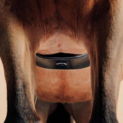 Sangle équitation Dressage En Cuir Cheval - 900 Noire -Plein Air Équipement Magasin sangle equitation dressage en cuir cheval 900 noire 3