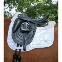 Selle De Dressage Pour Cheval Premier Equine Bletchley -Plein Air Équipement Magasin selle de dressage pour cheval premier equine bletchley 4